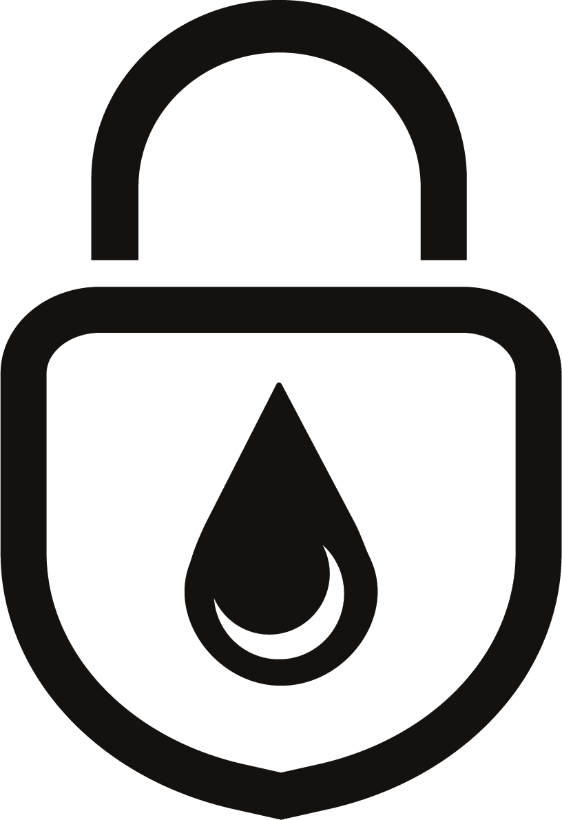 Secure icon